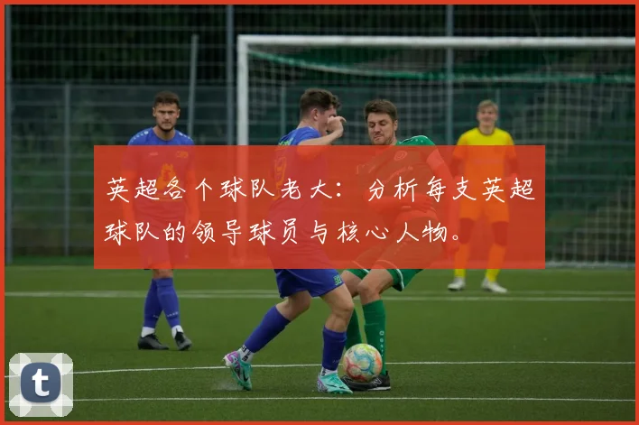 英超各个球队老大：分析每支英超球队的领导球员与核心人物。