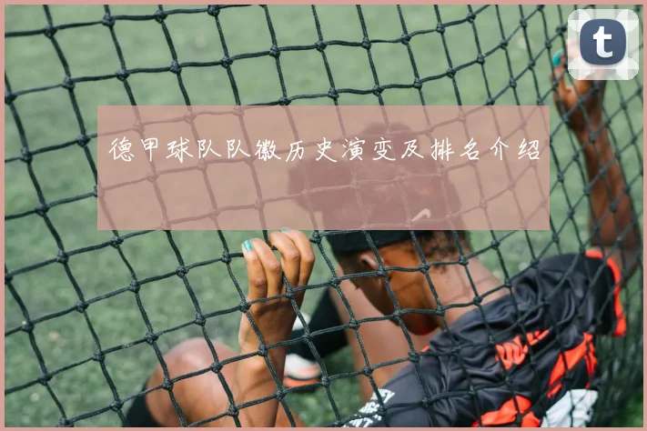 德甲球队队徽历史演变及排名介绍